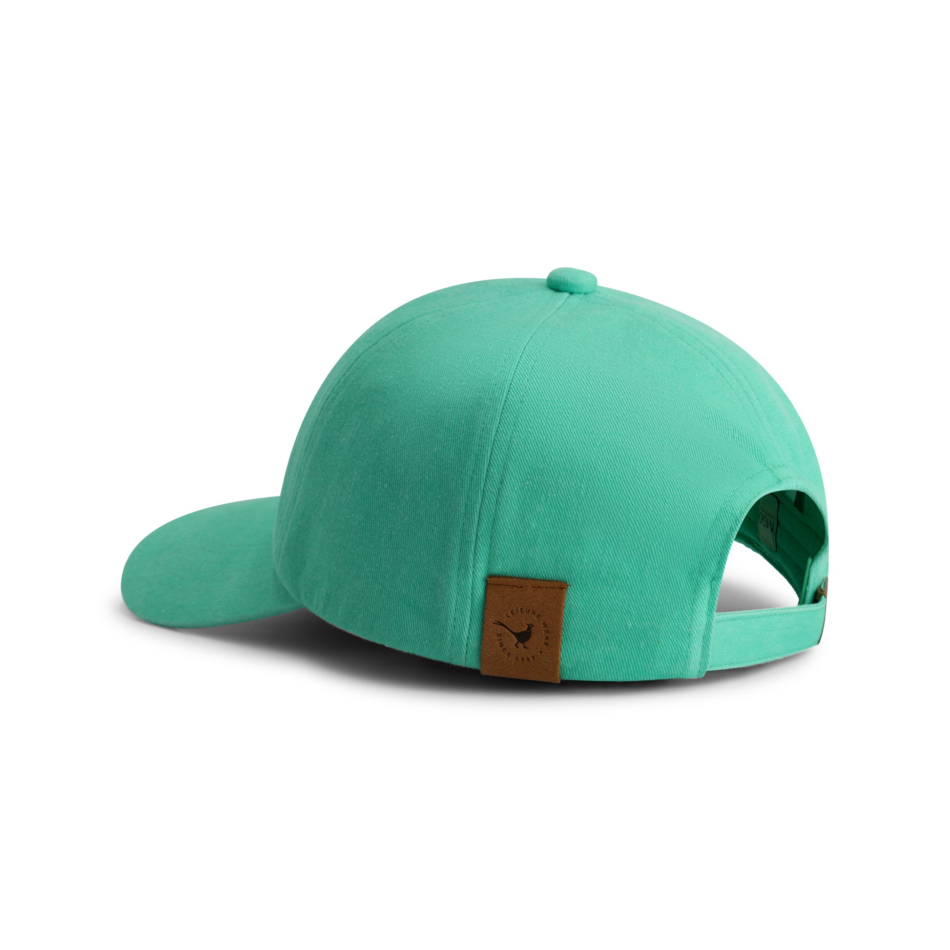 Bobby mint green ACC2
